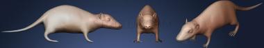 3D model Brown Rat (STL)